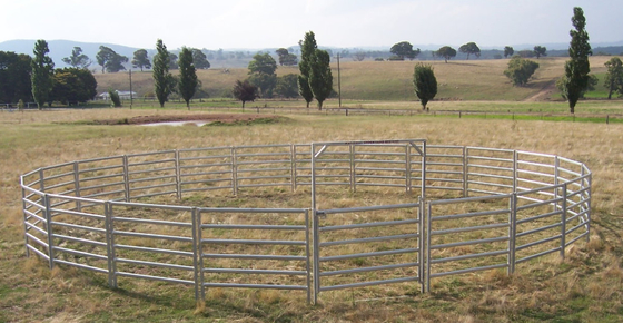 バルク炭素鋼の1.7m電流を通された家畜の塀のパネル、携帯用ヤギのパネル