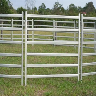 安い電流を通された牛ヤードの馬の塀の畜舎のパネル、牛パネル