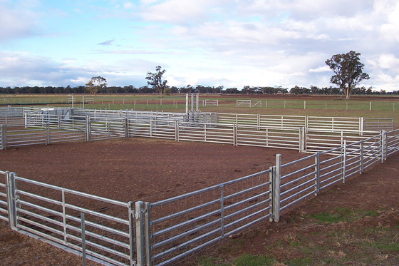 円形の管6ftの金属の家畜の塀は頑丈な電流を通された畜舎にパネルをはめる
