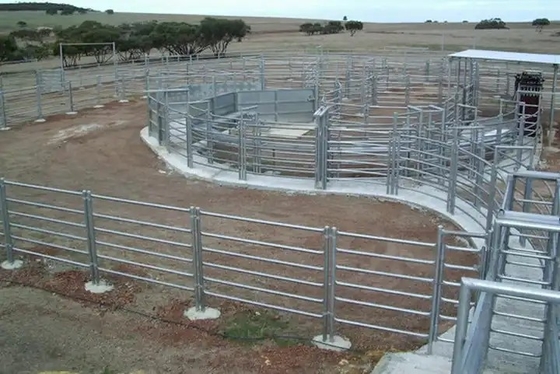 円形の管6ftの金属の家畜の塀は頑丈な電流を通された畜舎にパネルをはめる