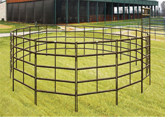 溶接した亜鉛コーティング 畜産用 持ち運び可能な牛パネル