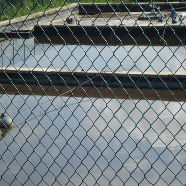 最新の会社ニュース 網のドア チェーン リンク塀  0