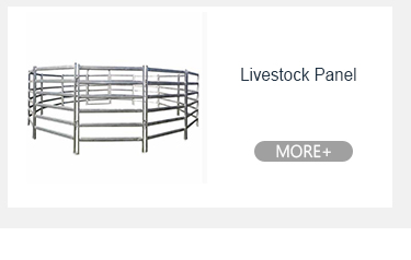 鋼鉄コンサート クラッシュ カスタム 群衆制御 バリケード 60 インチ 7