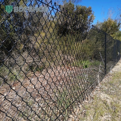6フィート高さ ダイヤモンド網 チェーンリンク フェンス 緑の庭園農園の正方形ポストタイプのための理想的な