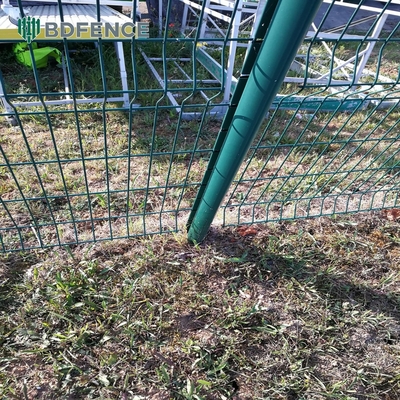 簡単に組み立てられるPvcコーティング 黒緑鋼鉄 鉄 ガルバン化庭園フェンス