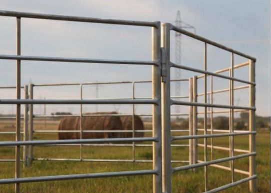 6つの柵によって電流を通される6ftの家畜の塀のパネル