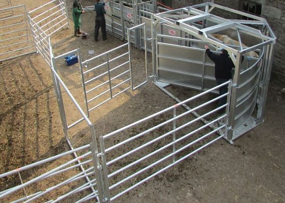 正方形の牛のための管によって溶接される家畜の塀のパネル