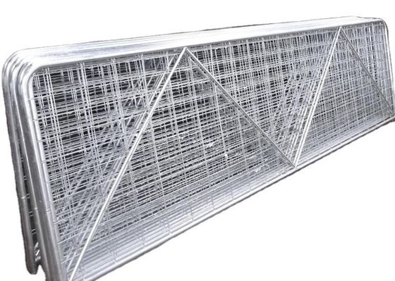 W16ft N様式はコーティングの金属の牛ゲートを粉にする