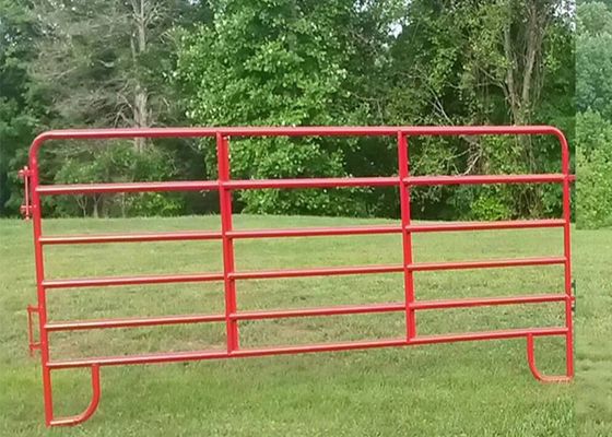 携帯用管は溶接された網の牛を囲うゲートを満たした
