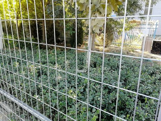 アメリカ市場標準 6 x 12 フィート 鉄鋼化 建設用 仮設 チェーンリンク フェンス パネル