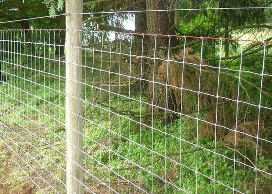 電流を通された鋼鉄編まれたワイヤー蝶番接合箇所の農場のパネルの塀