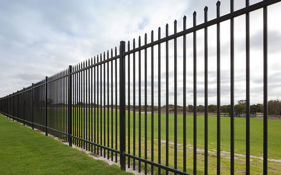 家の庭の黒の柵の装飾的な錬鉄の塀のパネル