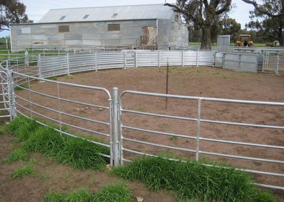 12ft電流を通された農場棒ゲートの馬の競技場の塀