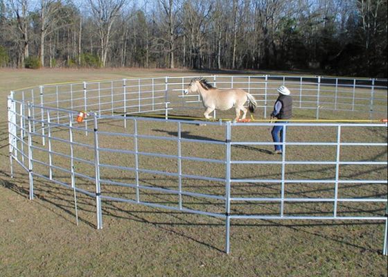 12ft電流を通された農場棒ゲートの馬の競技場の塀