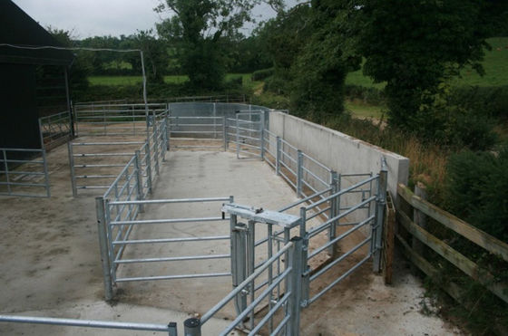 ISO 2.1mの長さの牛は畜産場のためのパネルを囲う