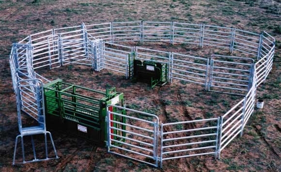 8x8は鋼鉄棒家畜の塀のパネル5つ電流を通した