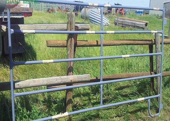 頑丈な1.6mの高さの家畜の塀のパネルは電流を通された農場のゲートに金属をかぶせる